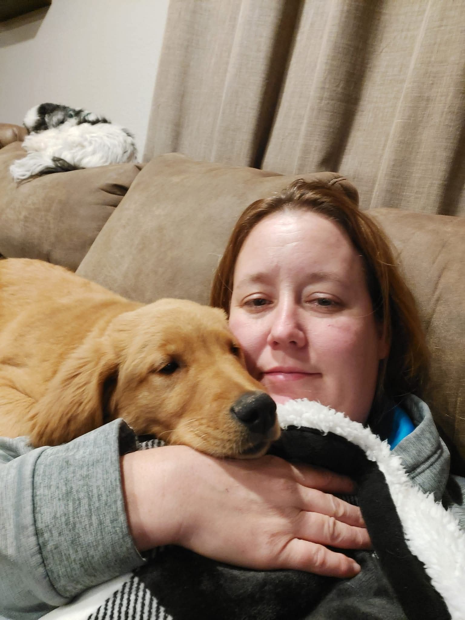 Family interacting with puppies at home